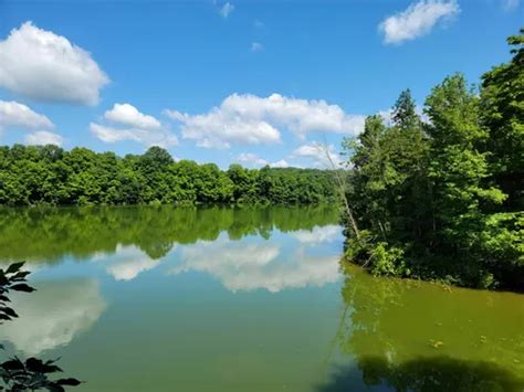 Best Hikes And Trails In Blue Marsh Lake National Recreation Area