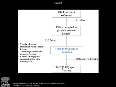 Sperm Cryopreservation In Adolescents And Young Adults With Cancer