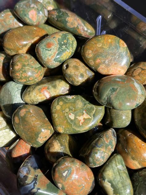 Rhyolite Rainforest Jasper Tumbled Stone Healing Crystals Crazy Lace