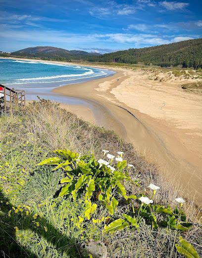 Descubre Las Impresionantes Playas De Ferrolterra Un Para So Costero