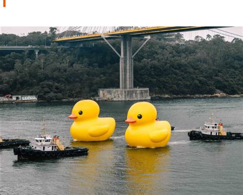 Dos Patos De Goma Gigantes En La Bah A De Hong Kong