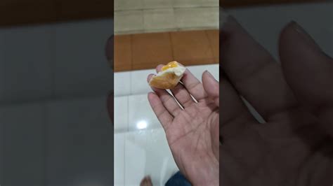 Secuil Roti Buat Ikan Shorts Kasihmakanikan YouTube