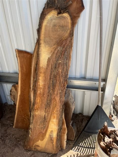 Terry S Live Edge Shelf Ideas MesquiteBeetle