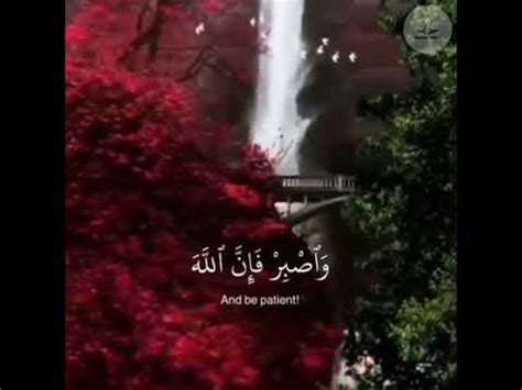 Beautiful Quran Recitation Islam Sobhi