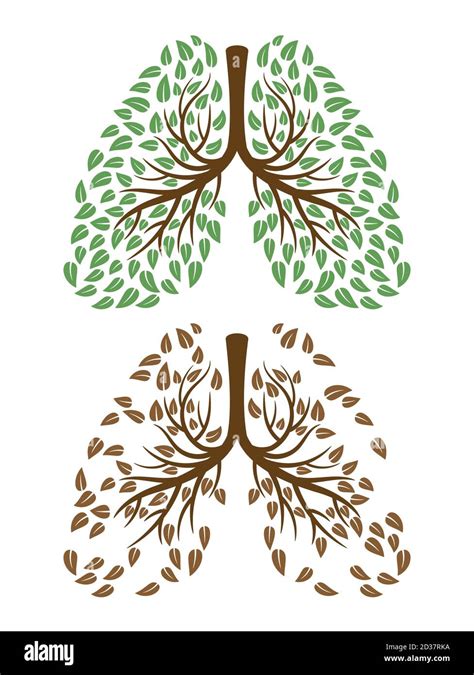 Healthy And Unhealthy Human Lungs With Foliage Vector Concept