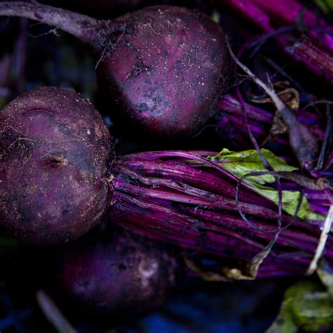 Beetroot-Purple-620 - Unicorn Grocery