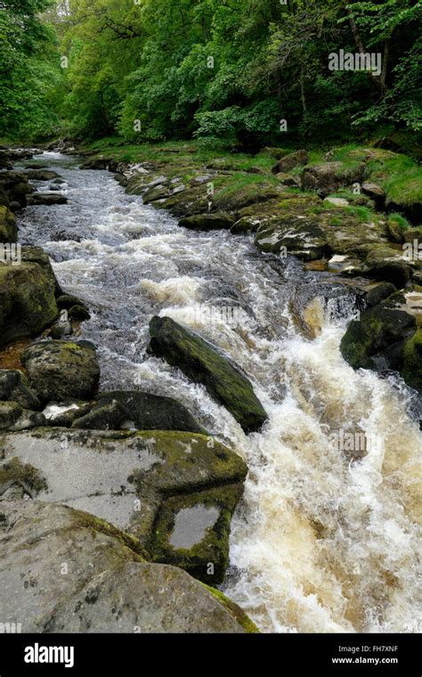 Bolton Strid Underwater - Welcome Here It Is Folks My Definitive ...