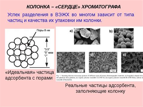 Высокоэффективная жидкостная хроматография (ВЭЖХ)