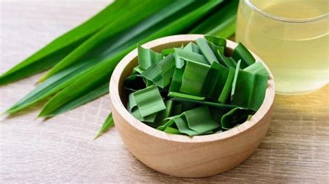 Manfaat Daun Pandan Untuk Kecantikan Kulit Bisa Bikin Wajah Jadi Sehat Dan Glowing