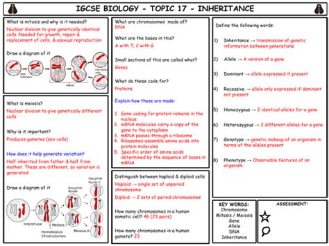 Igcse Biology Topic 17 Inheritance Summary Teaching Resources