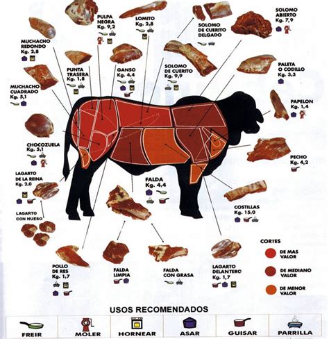 Cortes De Carne Diagrama