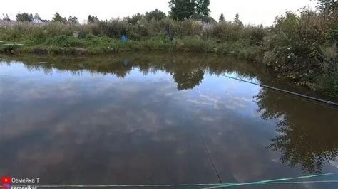 Рыбалка на своём пруду. Пруд на даче своими руками/Ловим в своём пруду ...