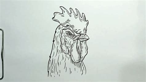 How To Draw Rooster Head In Easy Steps Youtube