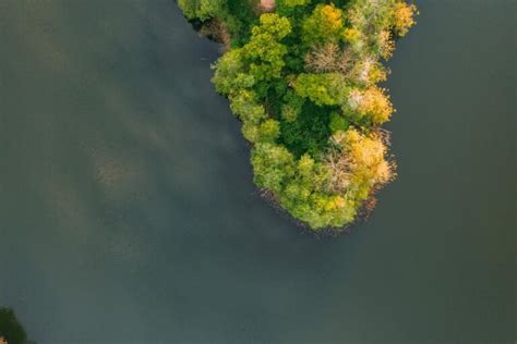 Can Orange Algae Kill Fish A Comprehensive Guide To Understanding Its