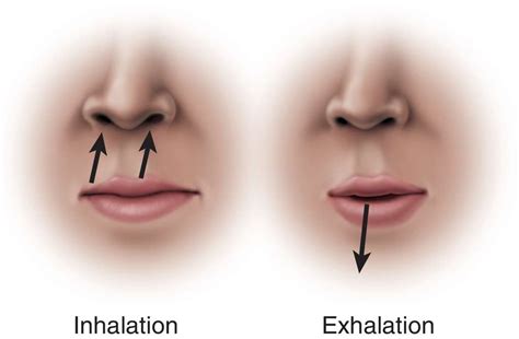 Meaning Of Pursed Lips Breathing | Lipstutorial.org