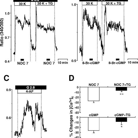 Inhibitory Effects Of Noc And Bromo Cgmp Br Cgmp On Ca C