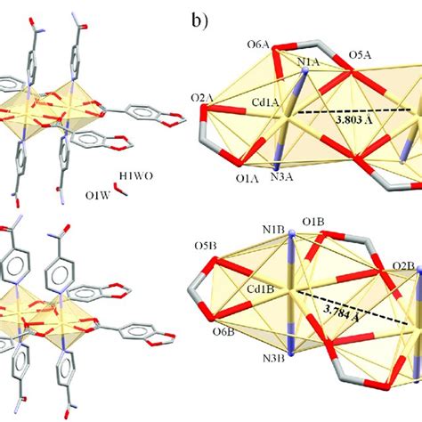 Molecular Structure Of The Crystallographically Independent Dimeric