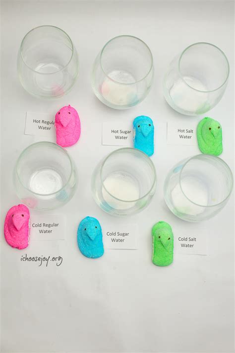 Dissolving Peeps Experiment Stem Activity For Eastertime