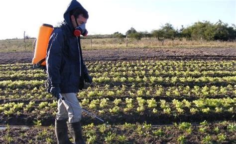 PROHÍBEN EL USO DE AGROQUÍMICOS DE BANDA ROJA EN MAR DEL PLATA Y BATÁN