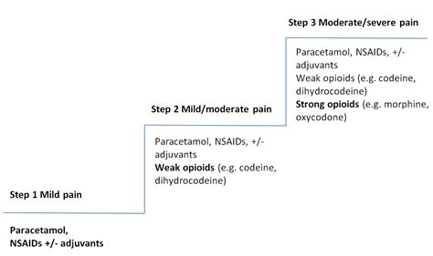 Who Pain Scale Ladder