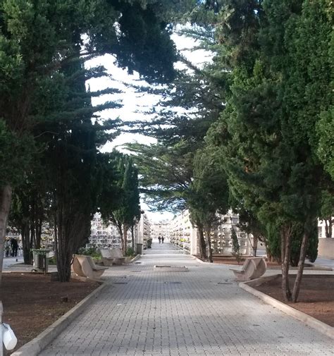 Commemorazione Dei Defunti Disposte Le Regole Di Accesso Al Cimitero