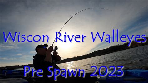 Wisconsin River Walleyes Pre Spawn Youtube