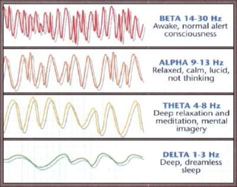 Pancha Kosha Yoga Nidra Technique Anushasan Yoga