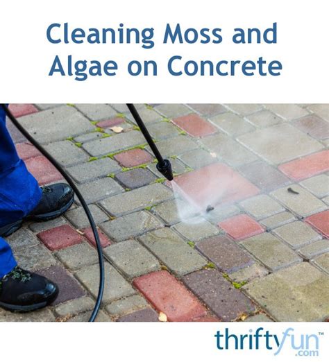 How To Get Rid Of Moss On Concrete Removing Moss From Concrete