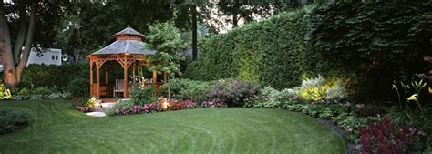 Best Grass To Grow In Shade | Kellogg Garden Organics™