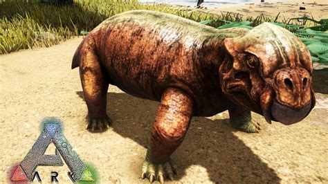 Lystrosaurus Ark