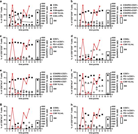 Longitudinal Phenotypic Characterization Of T Cell Subsets In A Patient