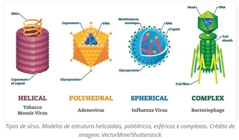 VIROLOGIA