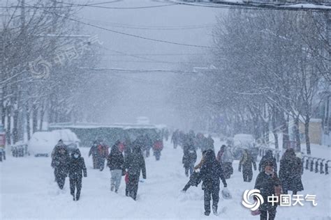 东北再遭大暴雪 一文了解最全雪灾防御指南关键时刻能自救 资讯