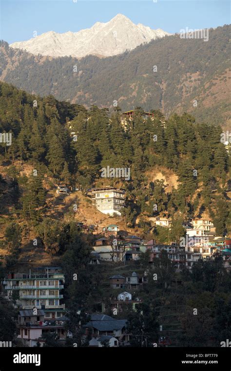 Mcleod Ganj Dharamshala Kangra District Himachal Pradesh India