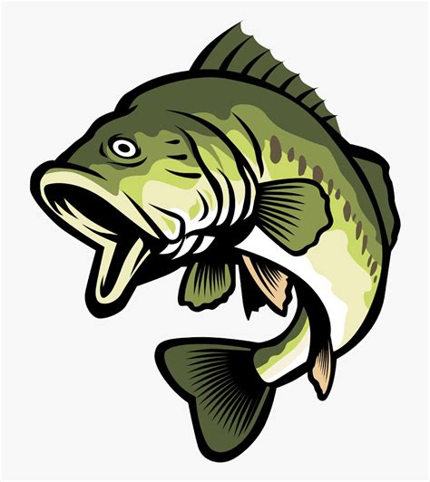 Bass Clipart Cool Cartoon Bass Fish Png Free Transparent Clipart