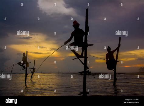 Las Siluetas De Los Pescadores Tradicionales De Sri Lanka En Zancos Al