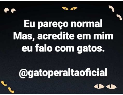 Curtidas Coment Rios Gato Peralta Gatoperaltaoficial No