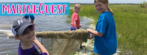 Diving Into Stem At Marinequest Blog Girl Scouts Nc Coastal Pines