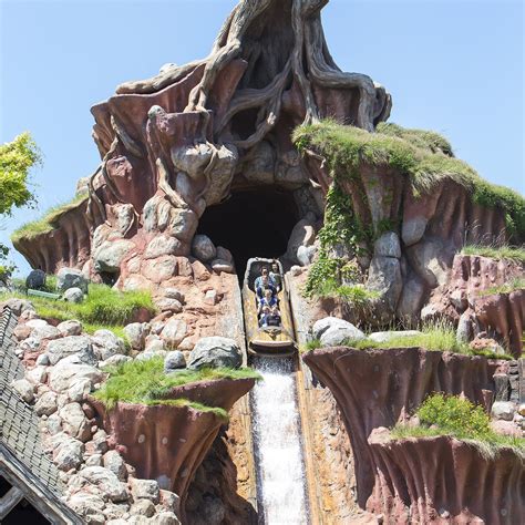 Funny Splash Mountain Ride Photos