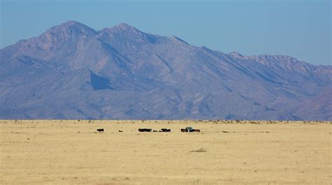 Socorro Travel Guide: Best of Socorro, New Mexico Travel 2024 | Expedia ...