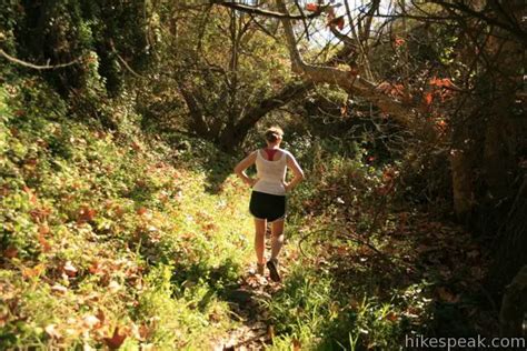 Rustic Canyon Trail | Will Rogers State Park | Hikespeak.com