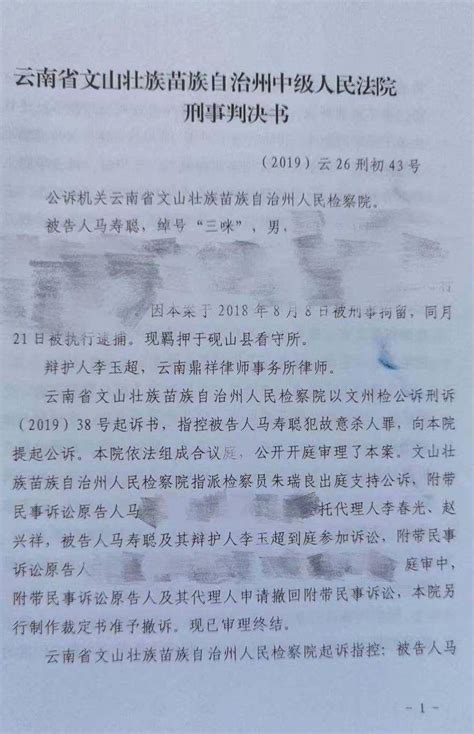 云南文山亿万富翁被吸毒者杀害，一审凶手获死刑马寿聪