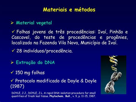 Ppt Emprego De Marcadores Moleculares Rapd No Estudo Gen Tico De