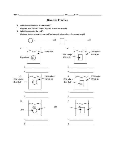 Osmosis Diffusion And Active Transport Worksheets Free Worksheets Samples