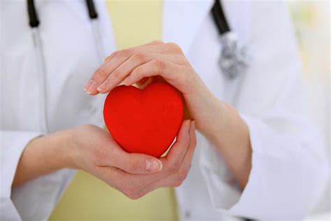 Discussing Heart Health With Your Cardiologist Florida Premier