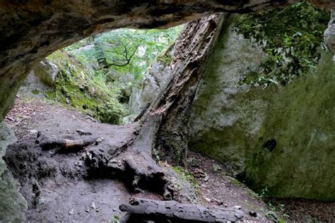 Rezerwat Sokole Góry Jura Krakowsko Częstochowska