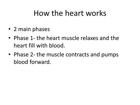 Ppt Circulation 8 Th Grade Study Guide Powerpoint Presentation Free