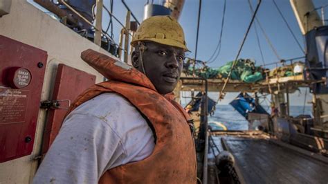 Fishing For A Future The South African Hake Story Msc