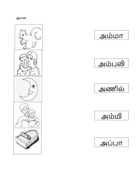 65 Marvelous Preschool Worksheets In Tamil Lbwomen