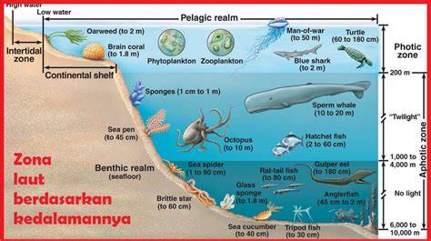 Perairan Laut 02 Guru Geografi Man 1 Gunungkidul Diy